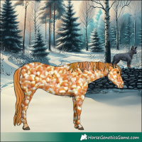 Horse Color:Chestnut Appaloosa
