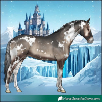 Horse Color:White Spotted Blue Onyx Rabicano 