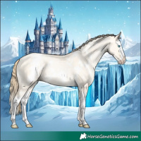 Horse Color:White Spotted Buckskin Pearl Dun Splash Rabicano