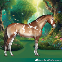 Horse Color:White Spotted Bay Onyx Rabicano 