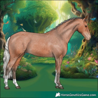 Horse Color:Silver Bay Tobiano Appaloosa 