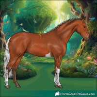 Horse Color:Silver Bay Tobiano