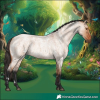 Horse Color:White Spotted Bay Roan Dun Rabicano 