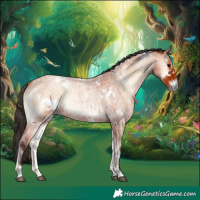 Horse Color:White Spotted Bay Roan Onyx Rabicano
