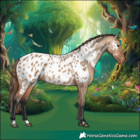 Horse Color:Bay Dun Near Leopard Rabicano 