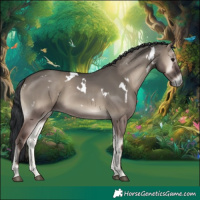 Horse Color:White Spotted Grullo Onyx Rabicano 