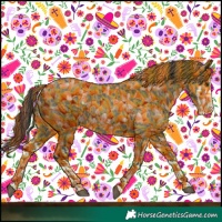 Horse Color:Red Dun Splash and Grullo Splash