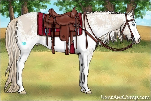Horse Color:White Spotted Smoky Creme 