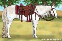 Horse Color:White Spotted Smoky Creme 