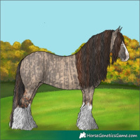 Horse Color:Unknown 