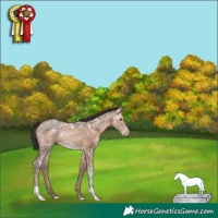 Horse Color:Sable Champagne Ice 