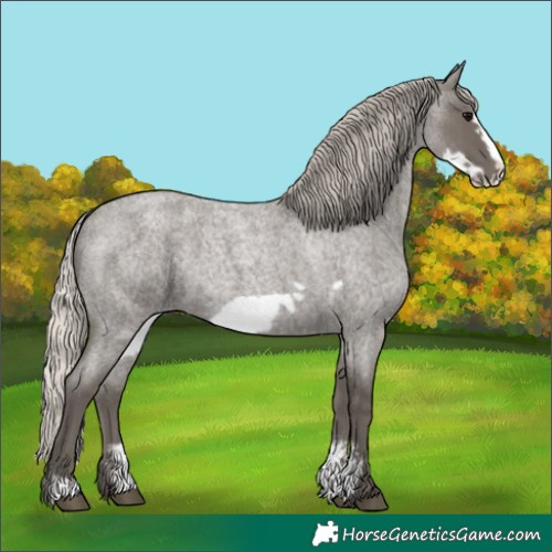 Horse Color:Silver Blue Roan Sabino Frame