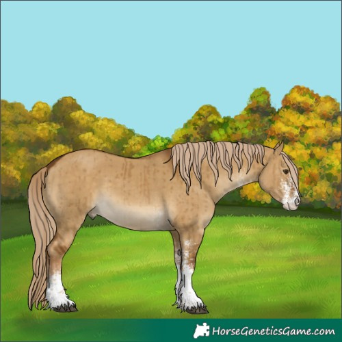 Horse Color:White Spotted Chocolate Palomino Dun Brindle