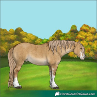 Horse Color:White Spotted Chocolate Palomino Dun Brindle