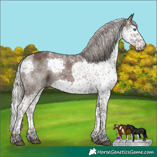 Horse Color:Powder White Silver Black Splash Tobiano 