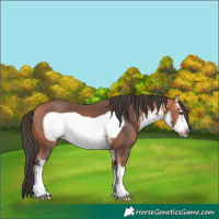 Horse Color:White Spotted Bay Mushroom Frame