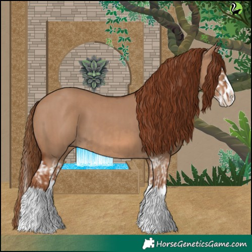Horse Color:Red Dun Splash and Red Dun Splash
