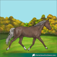 Horse Color:Silver Black 