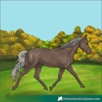 Horse Color:Silver Black 