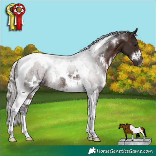 Horse Color:White Spotted Silver Brown Tobiano Rabicano 