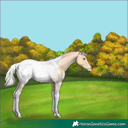 Horse Color:Silver Smoky Black Pearl Tobiano Snowcap 