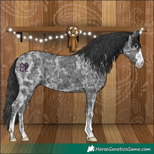 Horse Color:Black Ice and Black Ice