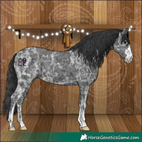 Horse Color:Black Ice  and Black Ice 