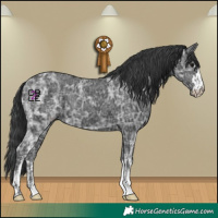 Horse Color:Black Ice and Black Ice