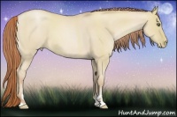 Horse Color:Smoky Grullo Pearl Sabino
