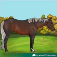 Horse Color:Silver Brown