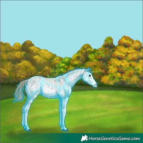 Horse Color:Thunderstruck Watercolor Red Onyx Ice Sabino Rabicano