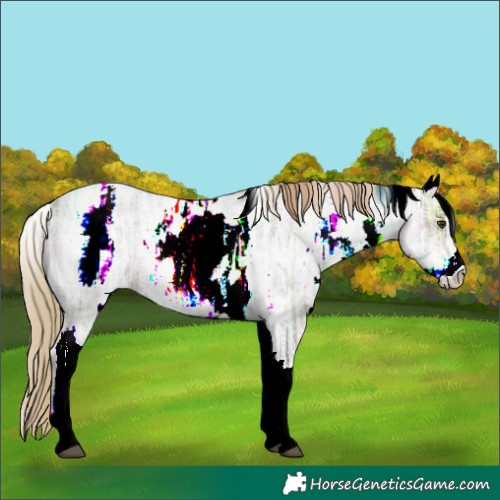 Horse Color:White Spotted Liver Red Ice Roan