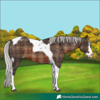 Horse Color:Plaid Silver Brown Splash Tobiano Varnish