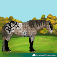 Horse Color:Plaid  Liver Chestnut Sabino Splash Blanket 