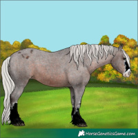 Horse Color:White Spotted Silver Brown Varnish 