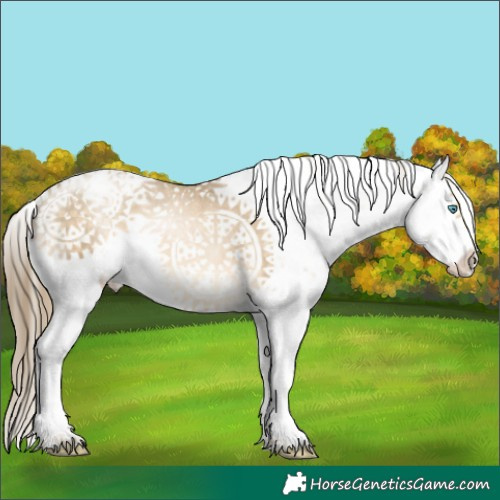 Horse Color:Buckskin Snowdrop Sabino Appaloosa Rabicano 