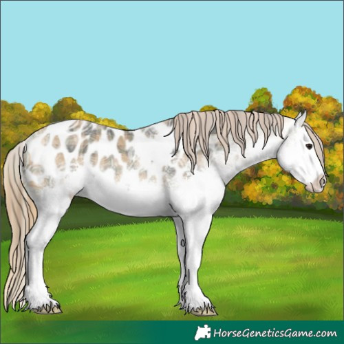 Horse Color:Plaid White Spotted Buckskin Ice Splash Near Leopard