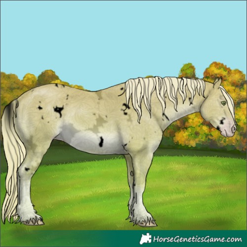 Horse Color:Void Watercolor White Spotted Gold Cream Champagne Ice 