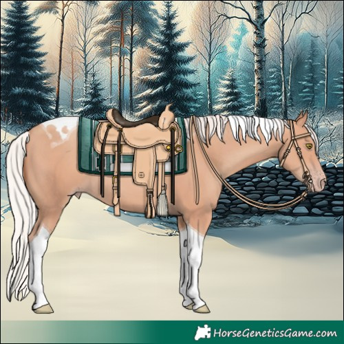Horse Color:Silver Amber Champagne Tobiano 