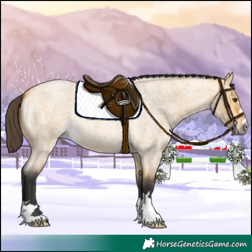 Horse Color:Buckskin Roan Dun 