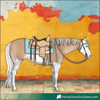 Horse Color:Silver Bay Dun Splash 