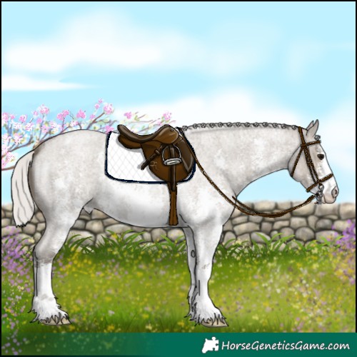 Horse Color:Silver Smoky Grullo Roan Sabino 