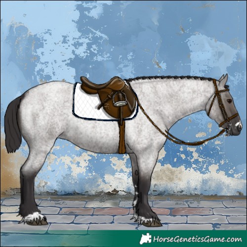 Horse Color:Smoky Grullo Roan 