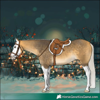 Horse Color:Silver Buckskin Splash 