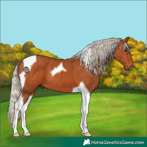 Horse Color:Silver Bay Tobiano 