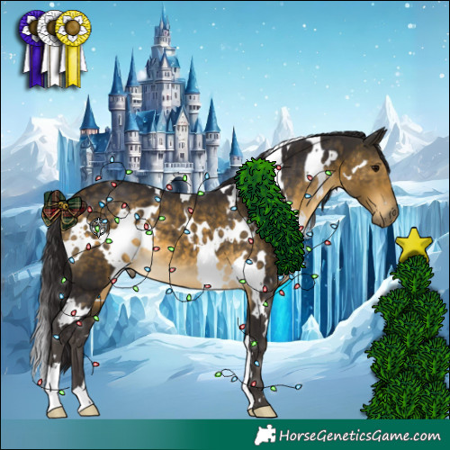 Horse Color:White Spotted Buckskin 