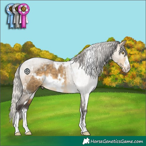 Horse Color:White Spotted Silver Buckskin Dun 