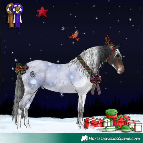 Horse Color:White Spotted Brown 