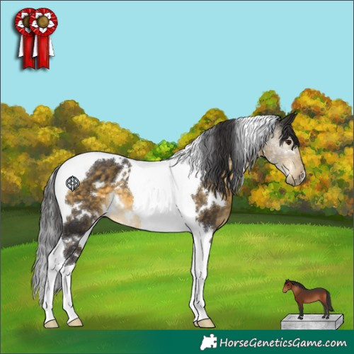 Horse Color:White Spotted Buckskin Tobiano 