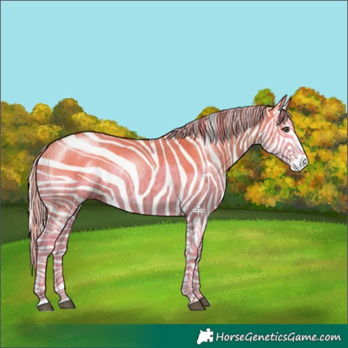 Horse Color:Palomino Dun Splash  and Palomino Dun Splash 